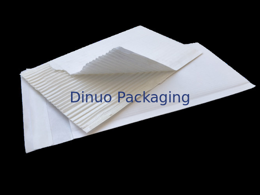 6- A impressão a cores Kraft corrugou envelopes para o cargo/governo/escola