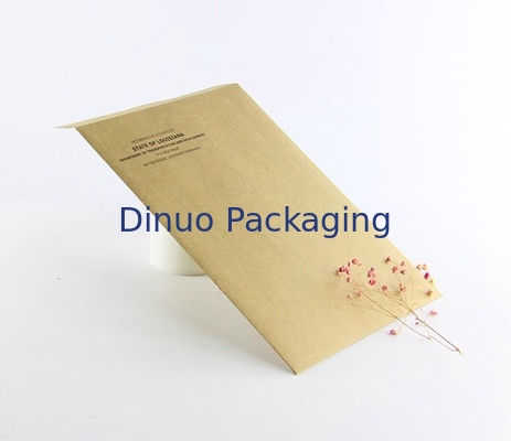 CMYK que imprime o correio Packing Bags de Kraft 9.5x14.5cm